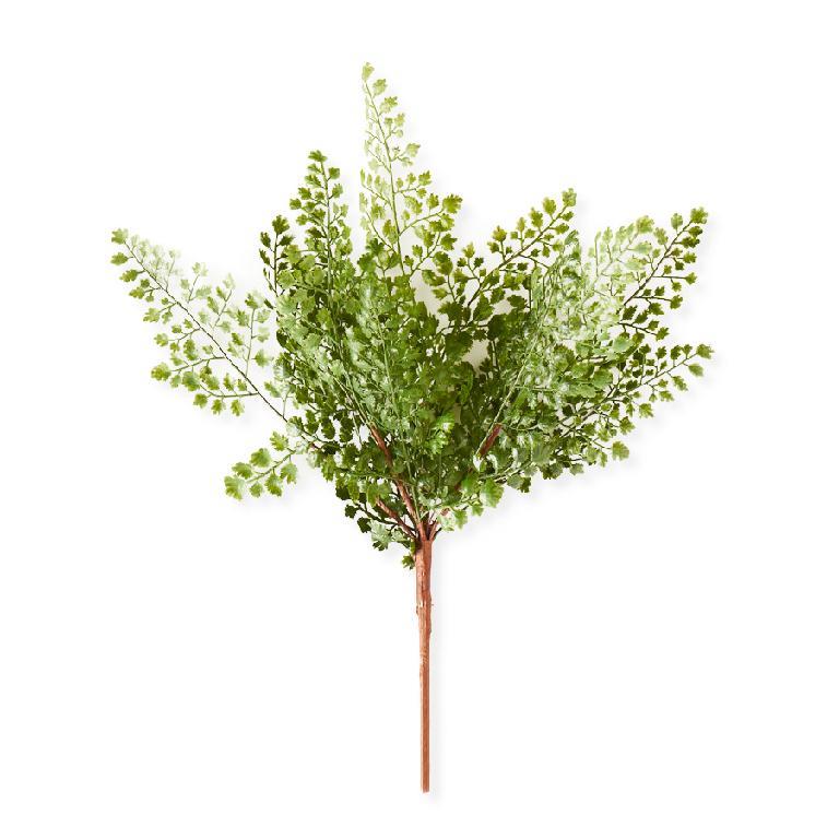 Maidenhair Fern Spray Stem 16 inch