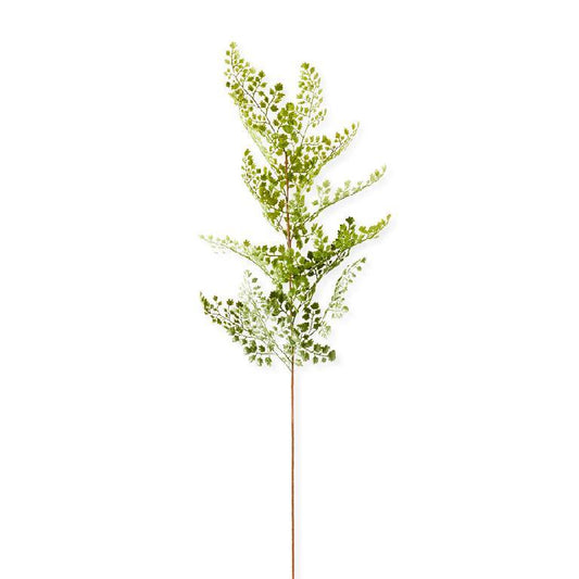 Maidenhair Fern Stem - 35 Inch