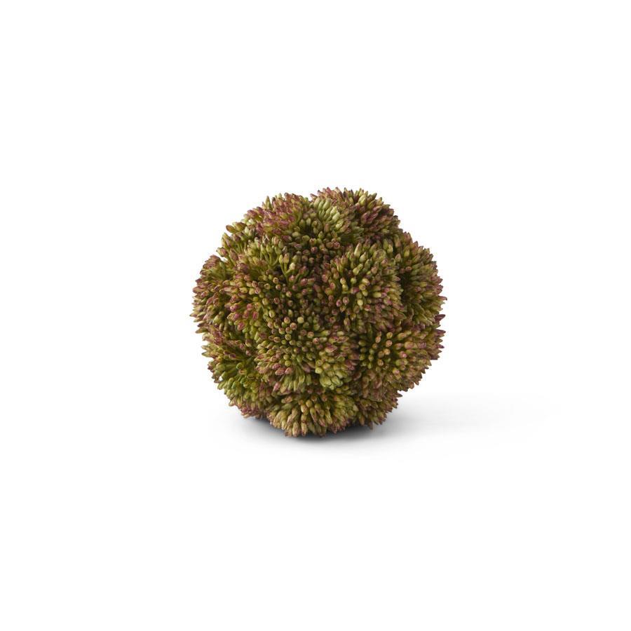 Dark Green Sedum Ball 4 Inch