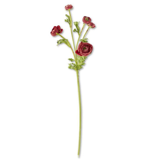 Burgundy Real Touch 5 Head Ranunculus Stem