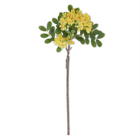 23" Yellow Mountain Laurel Stem