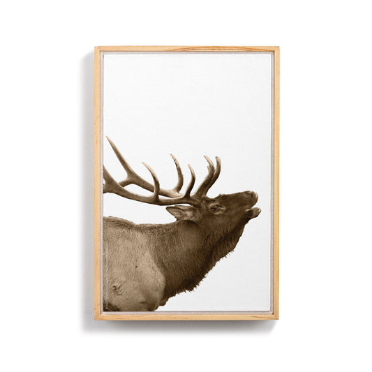 BW Elk Framed Canvas Wall Art